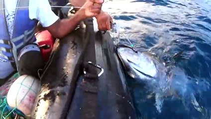 El terror de los pesqueros ilegales en una isla protegida de Colombia