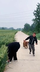 #video #chinese #funny #comedy #memes #love #cute #trending #latest #popular #viral #shorts #reels