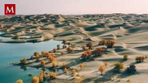 ¡El Sahara inundado! Tormentas transforman el desierto en un paraíso de agua