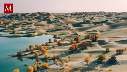 ¡El Sahara inundado! Tormentas transforman el desierto en un paraíso de agua
