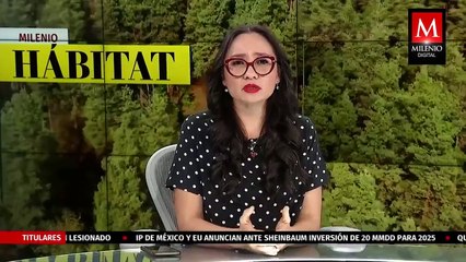 Poblaciones de fauna silvestre han disminuido un 73% en los últimos 50 años | Milenio Hábitat