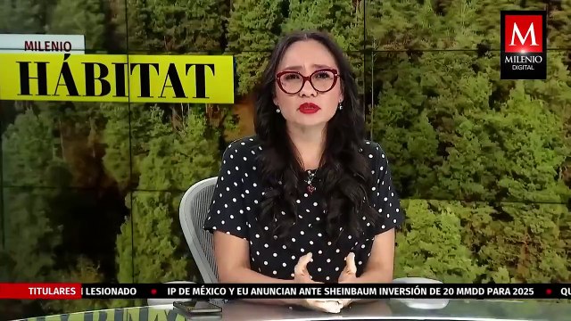 Poblaciones de fauna silvestre han disminuido un 73% en los últimos 50 años | Milenio Hábitat