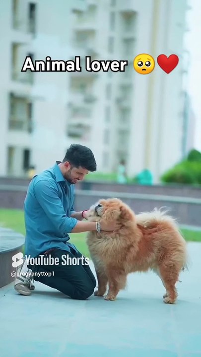 Animal lover ❤️ #shorts #animals