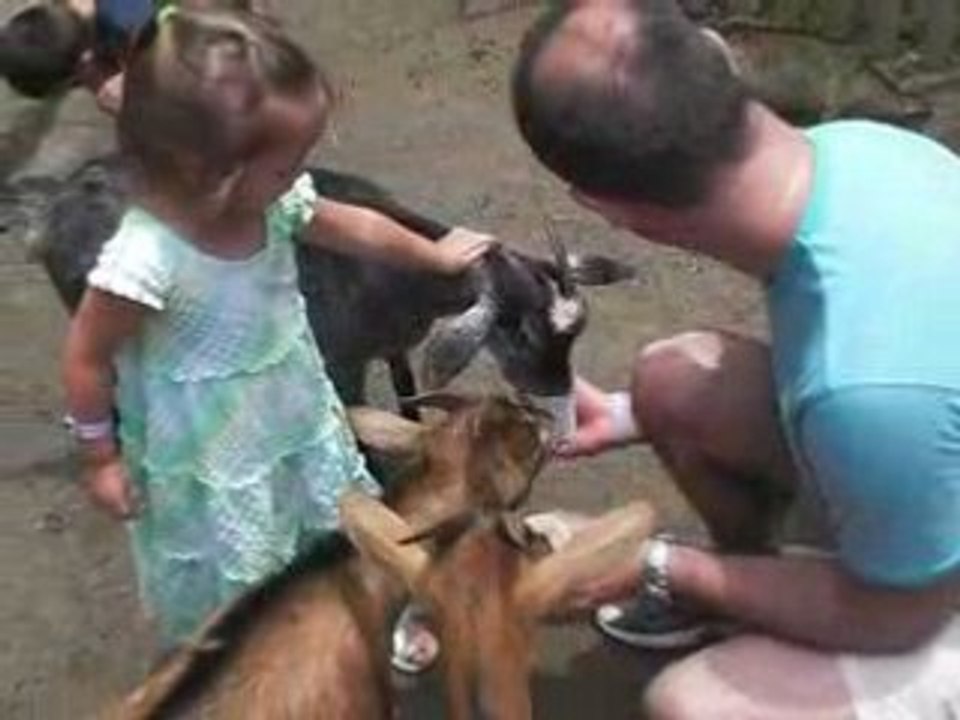 Guadeloupe - 11/04/2008 - Jardin Botanique à Deshaies