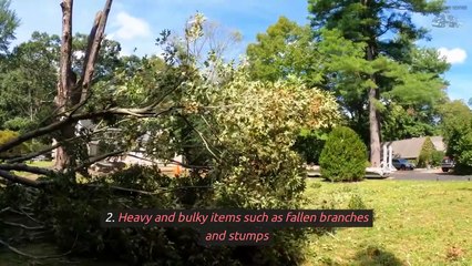 What Makes Renting A Dumpster Ideal For Tree Debris Cleanup