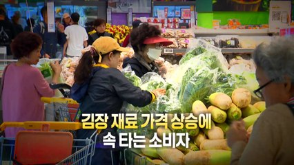[영상] 김장 재료 가격 상승에 속 타는 소비자 / YTN