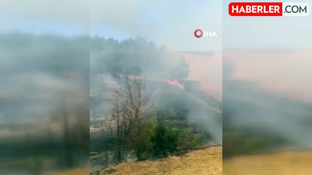 Hisarcık'ta Orman Yangını: 2 Hektar Orman ve 6 Hektar Zirai Alan Zarar Gördü