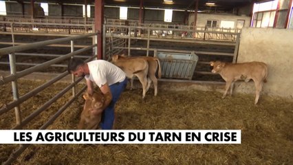 Les agriculteurs du Tarn en crise
