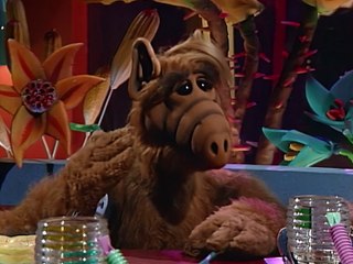 Alf Temporada 1 Capitulo 7 Español Latino