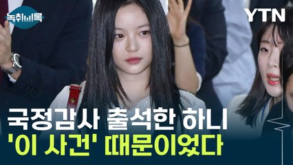'뉴진스' 하니 국정감사 출석 경위...라이브서 언급된 '이 사건' 때문 [Y녹취록] / YTN