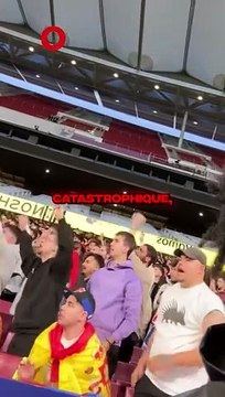 BRAWKS VICTIME DE RACISME AU FRANCE ESPAGNE A CAUSE DES ESPAGNOLS