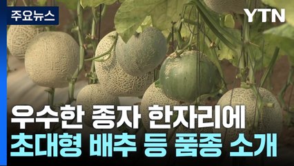 '종자에서 농업의 미래를 보다' 2024국제종자박람회 / YTN