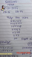Shillong Teer Target Today Single Hit (00)    16/10/2024