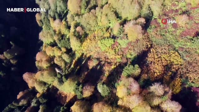 Borçka Karagöl sonbaharın renklerine büründü