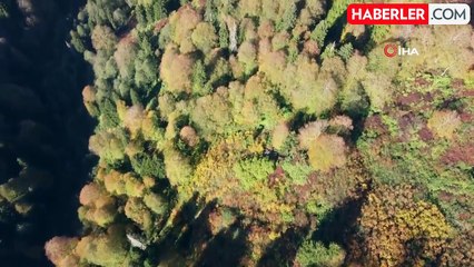 Télécharger la video: Borçka Karagöl Sonbaharın Renklerine Büründü