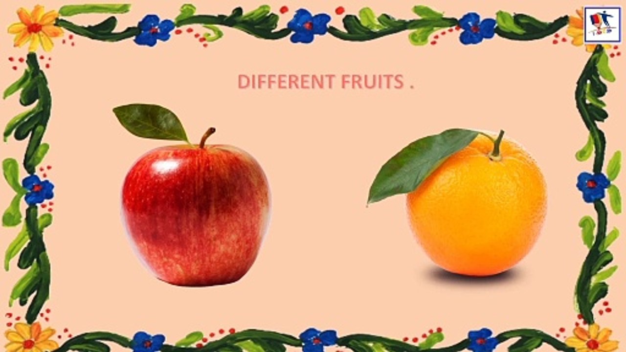 Same And Different
