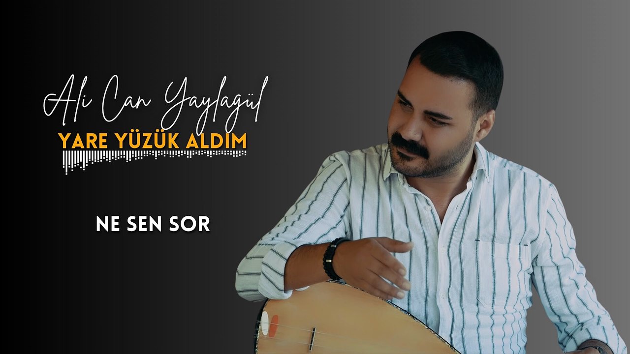 Ali Can Yaylagül - Ne Sen Sor (Official Audio)