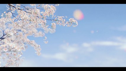 京城怪物第二季第6集免费在线观看🎬