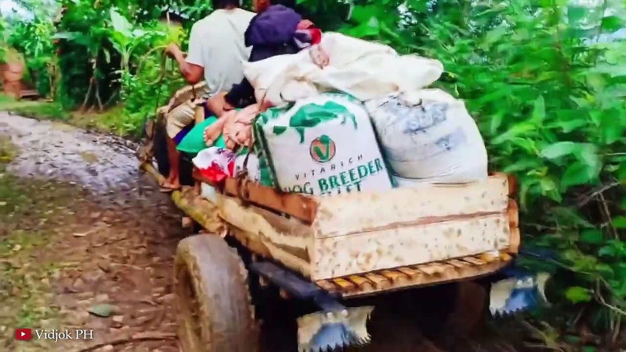 15 CHEAPEST Transportation Methods video Dailymotion