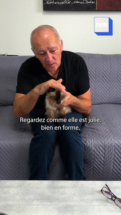 La plus vieille chatte de Nice habite-t-elle à Nice?