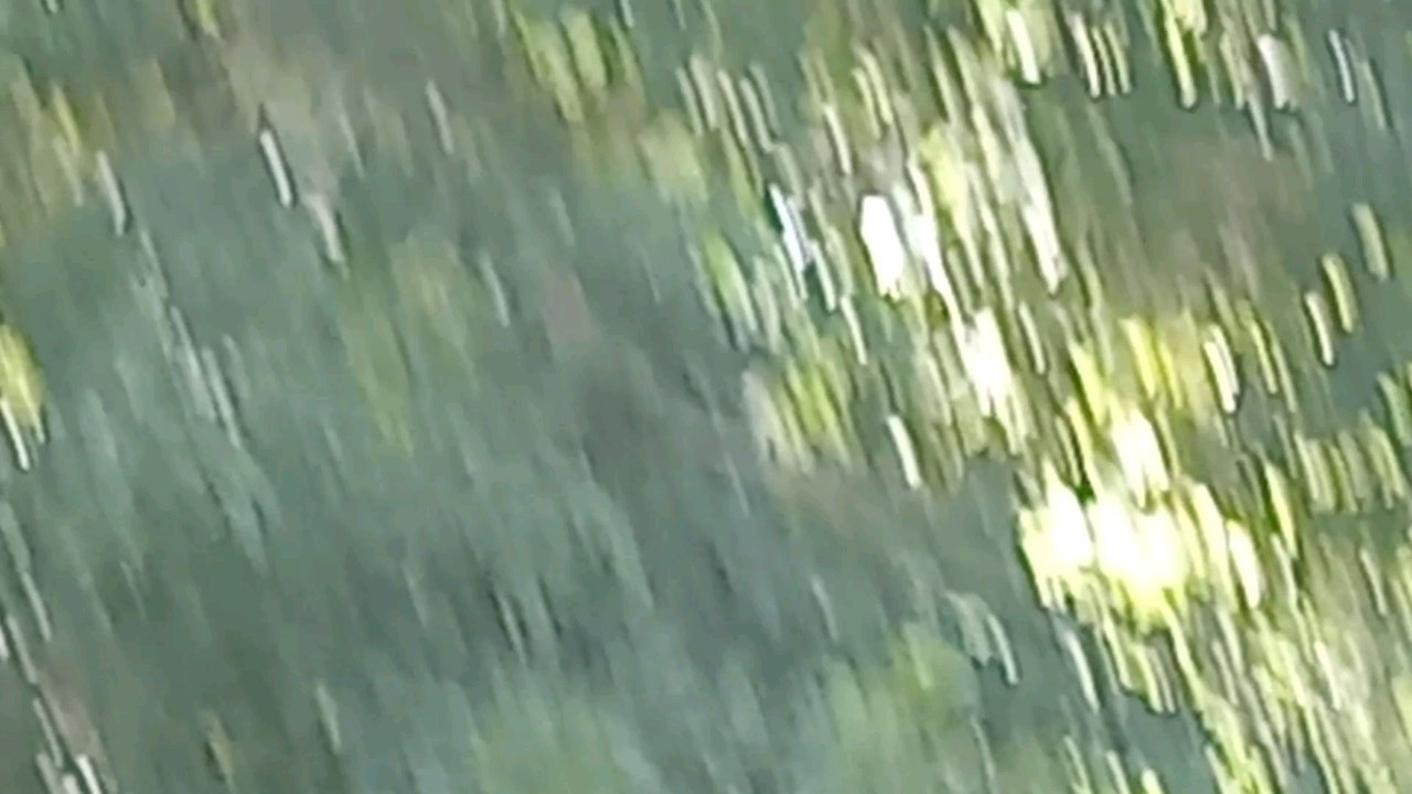 Here's my latest video