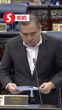Malaysia carriers fail to meet on-time targets, says Loke
