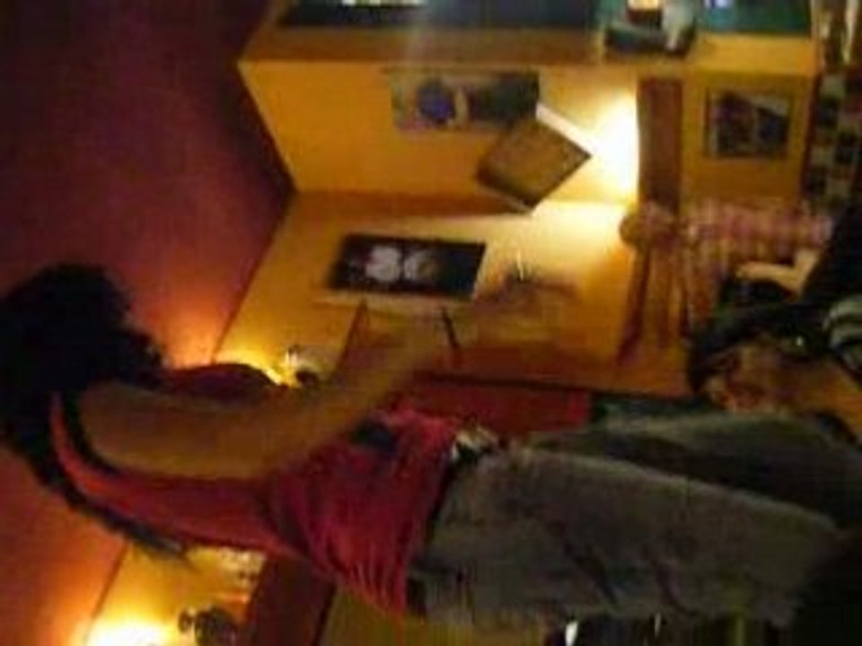 Photo 042