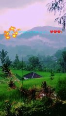 Susana pedesaan alam yang indah
