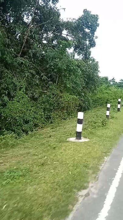 VID_20241015_092727