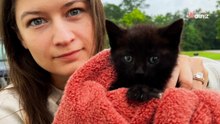 Pies skomle przy samochodzie swoich opiekunów. Są zszokowani, gdy odkrywają, co kryje się pod maską