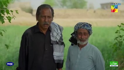 Zard Patton Ka Bunn - Episode 23