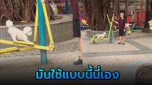 น้องหมาสุดมันส์ เพิ่งรู้ว่าเครื่องออกกำลังกายมันใช้แบบนี้เอง นึกว่าเล่นในสวนสนุก