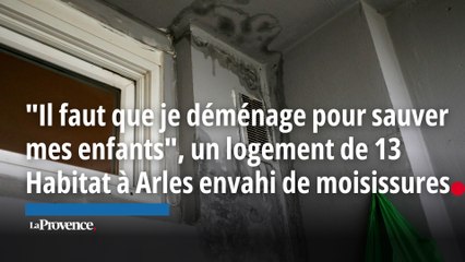 Un logement de 13 Habitat à Arles envahi de moisissures