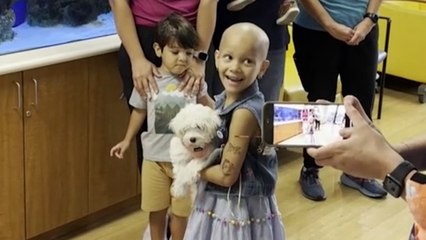 Moment child cancer patient gets a puppy