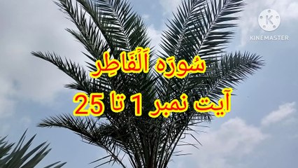 Surah Al Fatir  - ayat 1 to 25 - beautiful qirat - quran recitation - learn quran