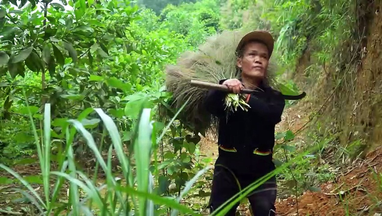 Dwarf Family Primitive Life- The Journey to find Reeds In the Forest and A Terrifying Discovery
