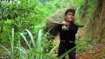 Dwarf Family Primitive Life- The Journey to find Reeds In the Forest and A Terrifying Discovery