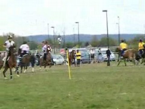 All Star - 2 Tasses - Peter Dale