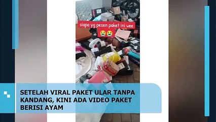 Setelah Viral Paket Ular Tanpa Kandang, Kini Ada Video Paket Berisi Ayam