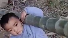 有个儿子就是好.这么小就Chinese children have to earn money from ten living things since childhood!知道帮爸爸背竹子赚钱了！点赞
