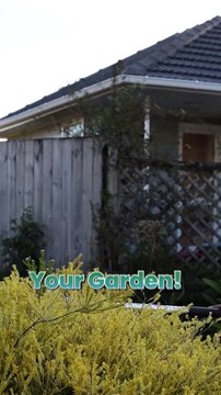 Transform your garden into a masterpiece with the Lawn Masters