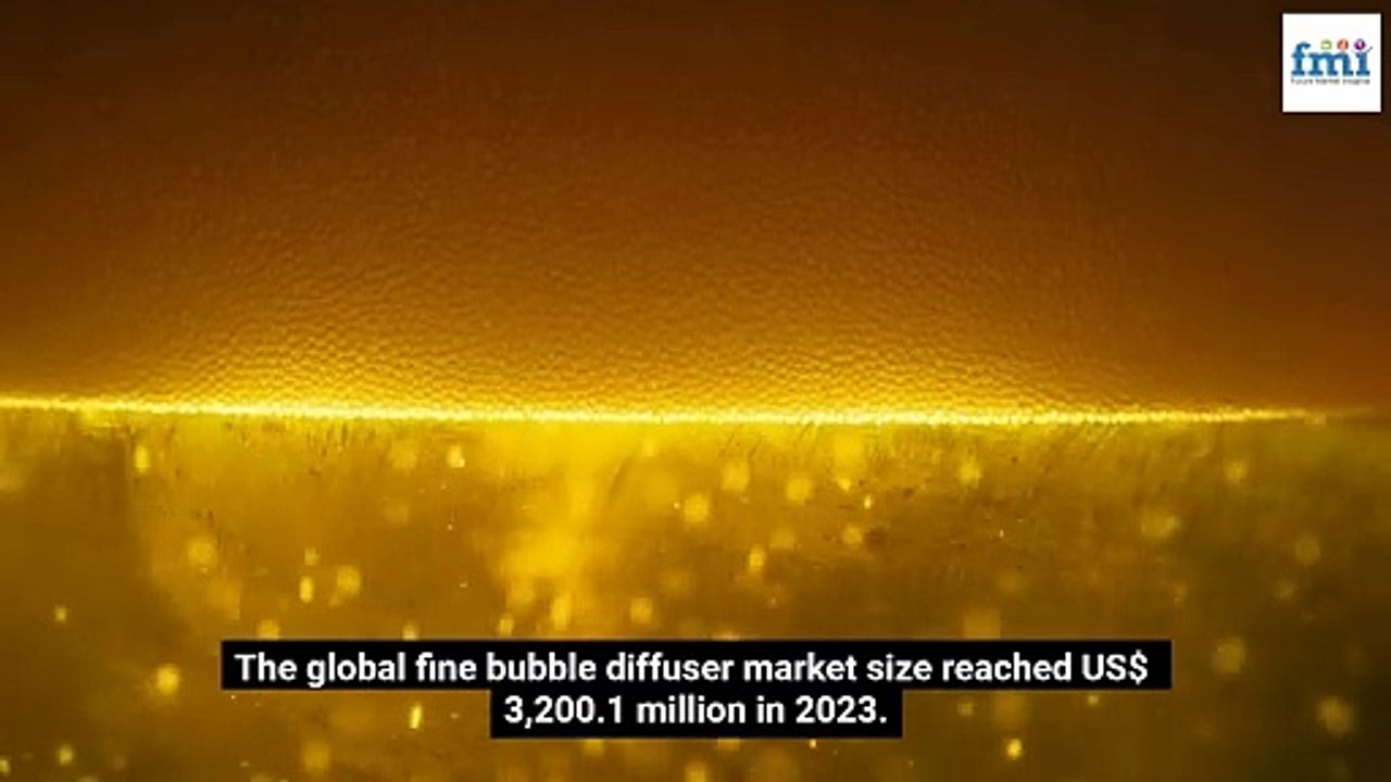 Rising Demand for Efficient Wastewater Treatment Fuels Fine Bubble Diffuser Market Growth