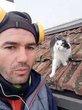 Il imite un chat en colère à coté d'une autre chat... réaction mythique