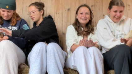 Chicken steals spotlight at farm shop while friends recover from hangover.