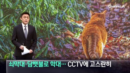 쇠막대·담뱃불로 길고양이 학대…CCTV에 고스란히