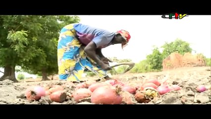 Femmes rurales Mamelles Nourricieres Dans l Extreme-Nord_151024