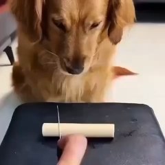 Sharing is caring..☺️