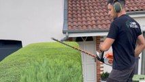 Professional landscaper shows off impressive hedge-trimming chops