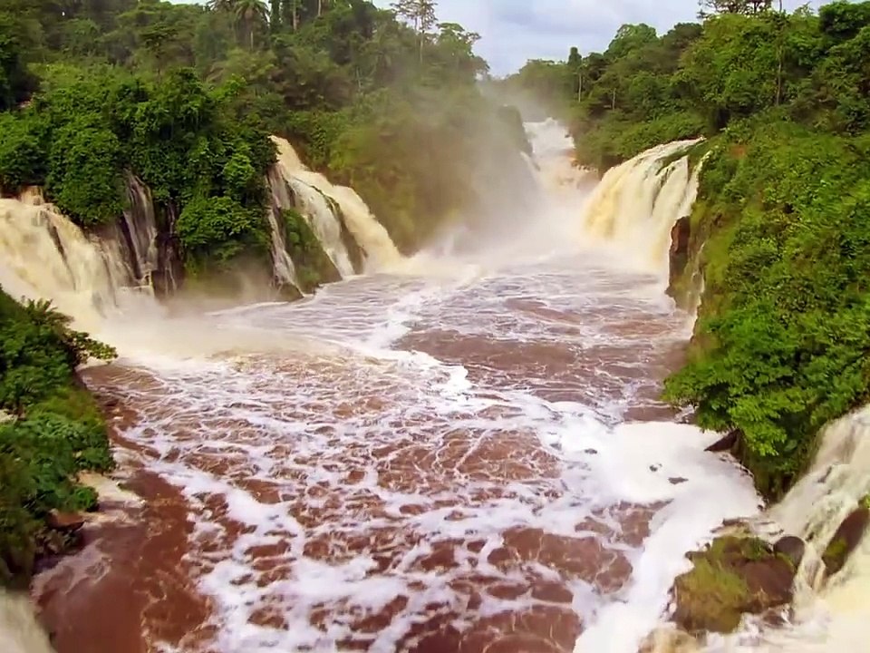 The silly and lovable Capybara#AnimalWorld #Funny #Reversal
