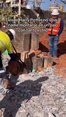 ¡Increíble! Un perezoso 'vuela' al estilo de Harry Potter y roba la atención de miles